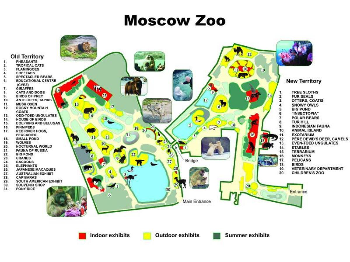 mapa Moskiewskiego zoo